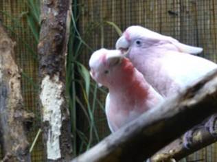 image026