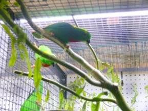 image028