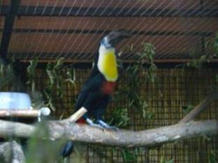 image032