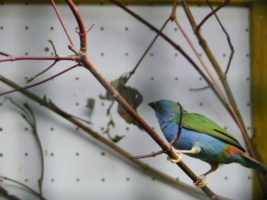 image034