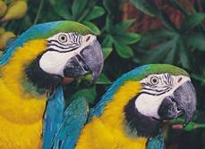 image011