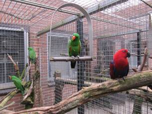 image017
