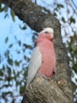 image020