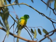 image021