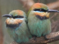 image023