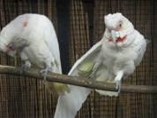 image024
