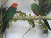 image025