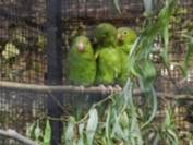 image026