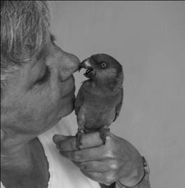 image030
