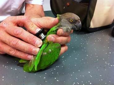 image044