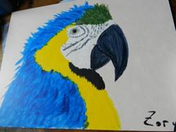 image070