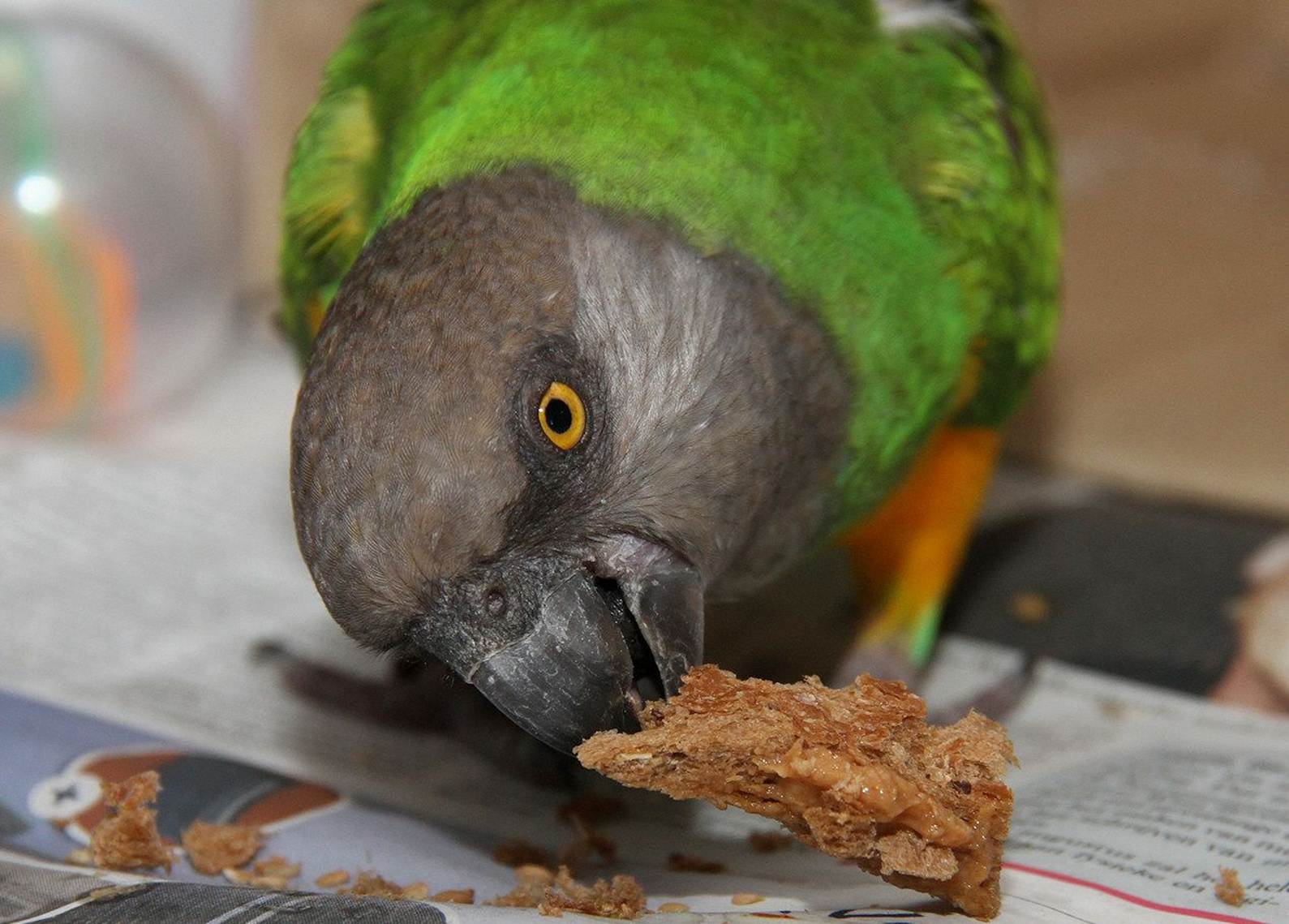 image089