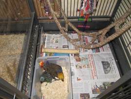 image092