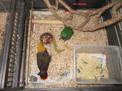 image017