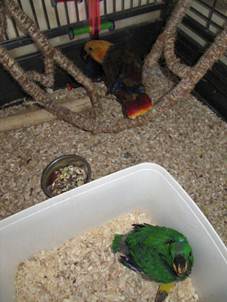 image018
