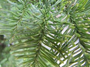 image041