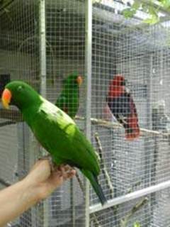image012