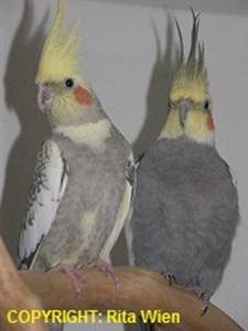 image047