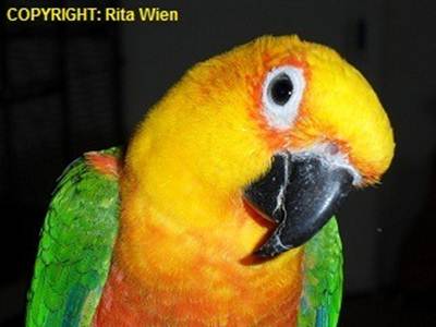 image050