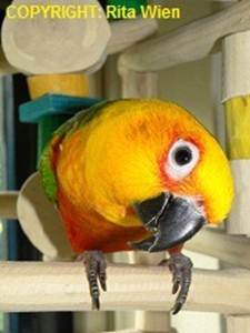 image051