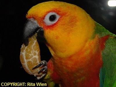 image052