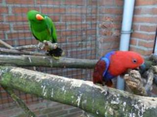 image055