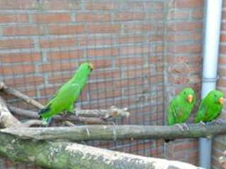 image079