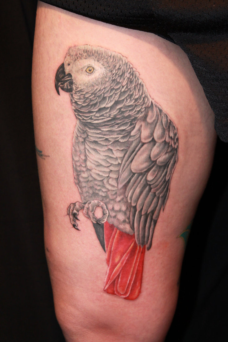 african-grey-parrot-tattoo-on-thigh